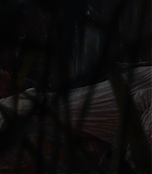 EMO-Eiffel163.jpg